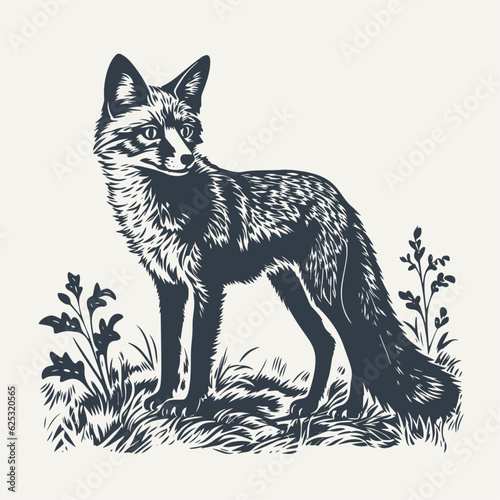 Fox standing beside wild weeds. Vintage woodcut engraving style vector illustration.