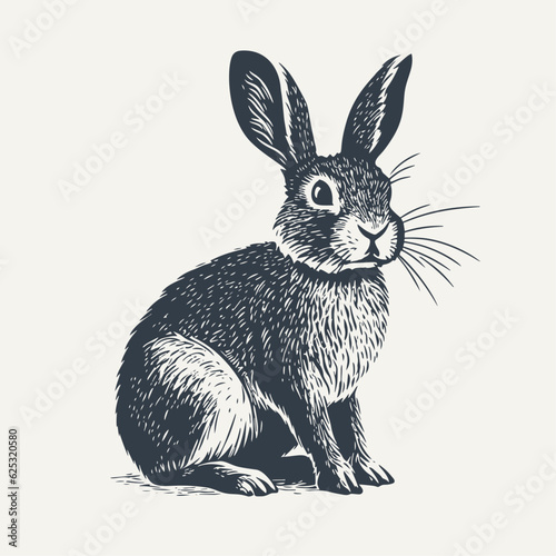 Sitting rabbit. Vintage woodcut engraving style vector illustration.