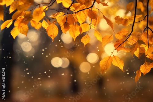 autumn colorful bright leaves spinning on the branch. Bokeh. Fall background. High quality photo