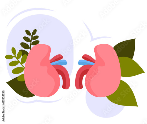Human kidney problem, diagnosing kidney disease, chronic kidney disease, chronic disease. Vector illustration