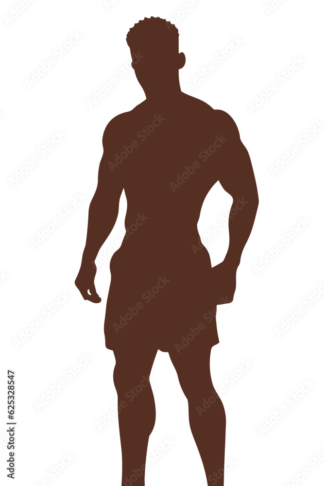 Fototapeta premium silhouette of a man