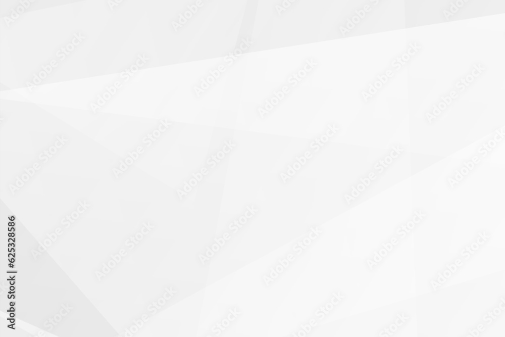 Fototapeta premium Abstract white and grey on light silver background modern design. Vector illustration EPS 10.