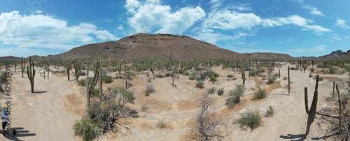 Panoramic view of desert with hill and cactus near La Paz, Mexico