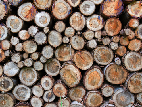 Close-up of a heap of logs of different size used as firewood  captured in a farm near the town of Arcabuco  in the eastern Andean mountains of Colombia.