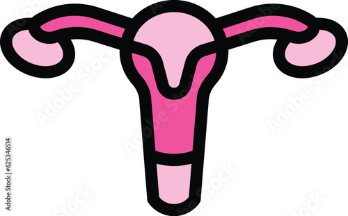 Pelvic exam icon outline vector. Woman health. Cervix consultation color flat