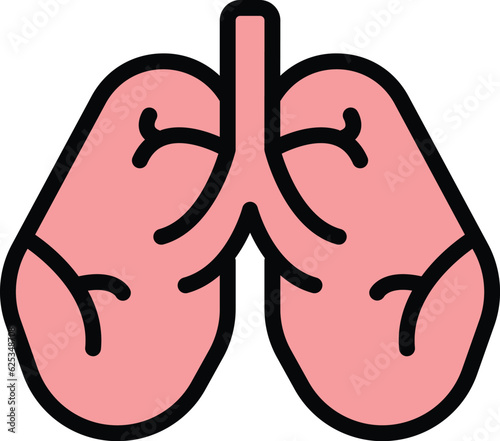 Hospital medicine lungs icon outline vector. Chest health. Cancer xray color flat