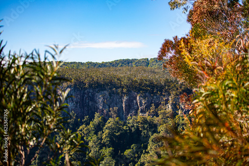 panorama of mountains in springbrook national park near gold coast, queensland, australia; famous canyon view from the top of mountain in gondwana rainforest photo