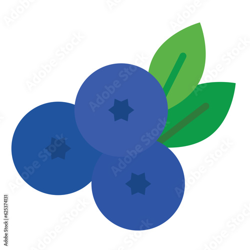 blueberry icon