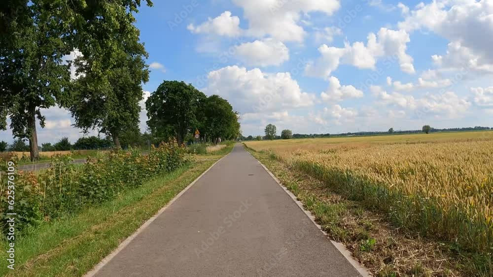 bike path movement along field trees along bike path movement along field trees along