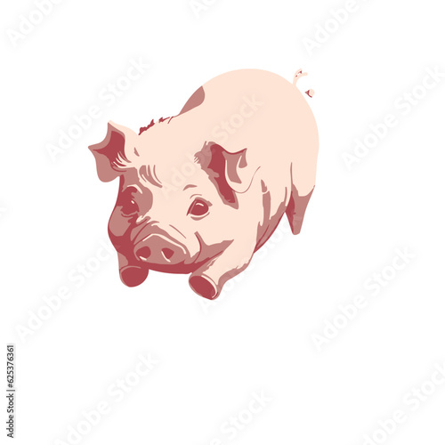 cartoon pig ilustration
