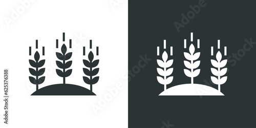 Ears of wheat. Ears of rye. Wheat grain icon.