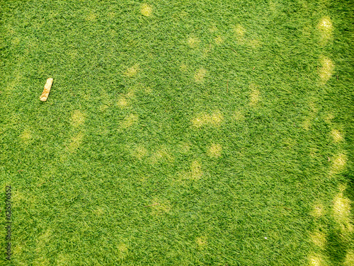 Green colorful of the lawn is a texture background