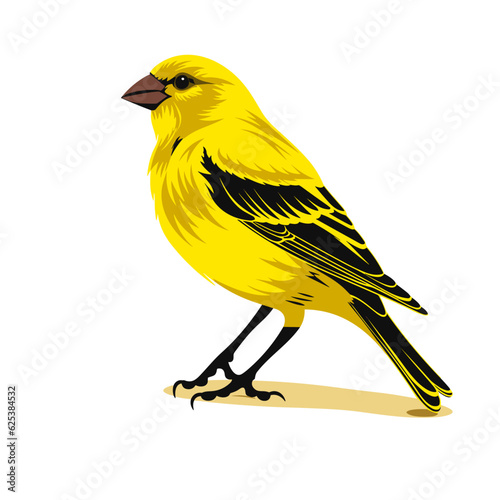 Tableau sur toile yellow bird on a branch