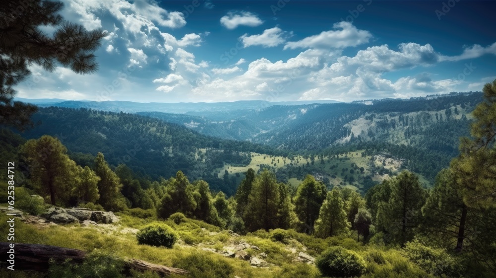 panorama of the mountains