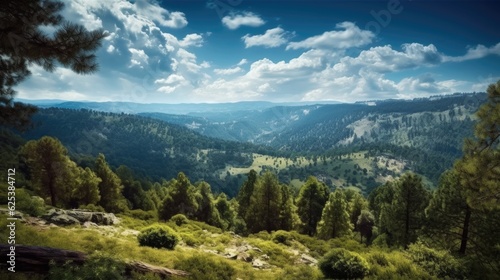 panorama of the mountains