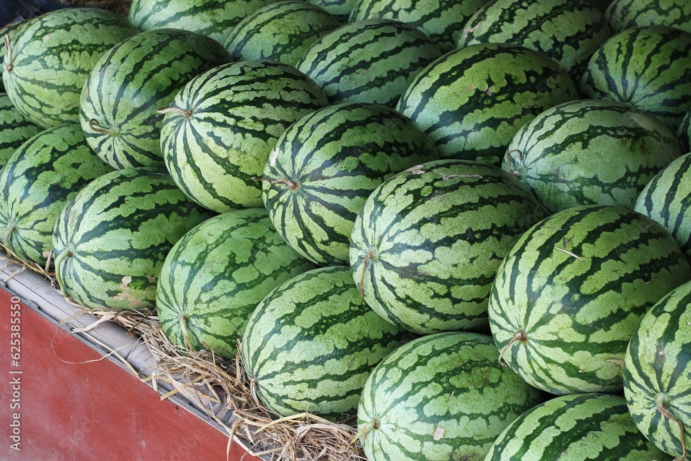 watermelon watermelon