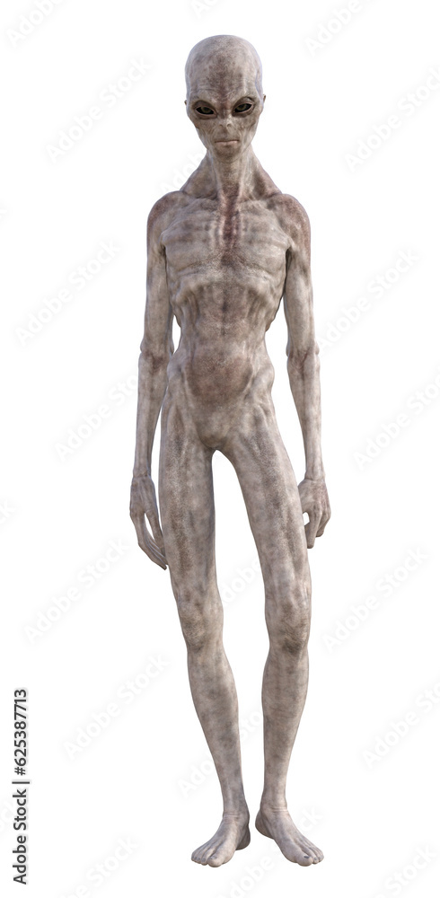 Grey alien on transparent background, 3d render Grey alien on transparent background, 3d render