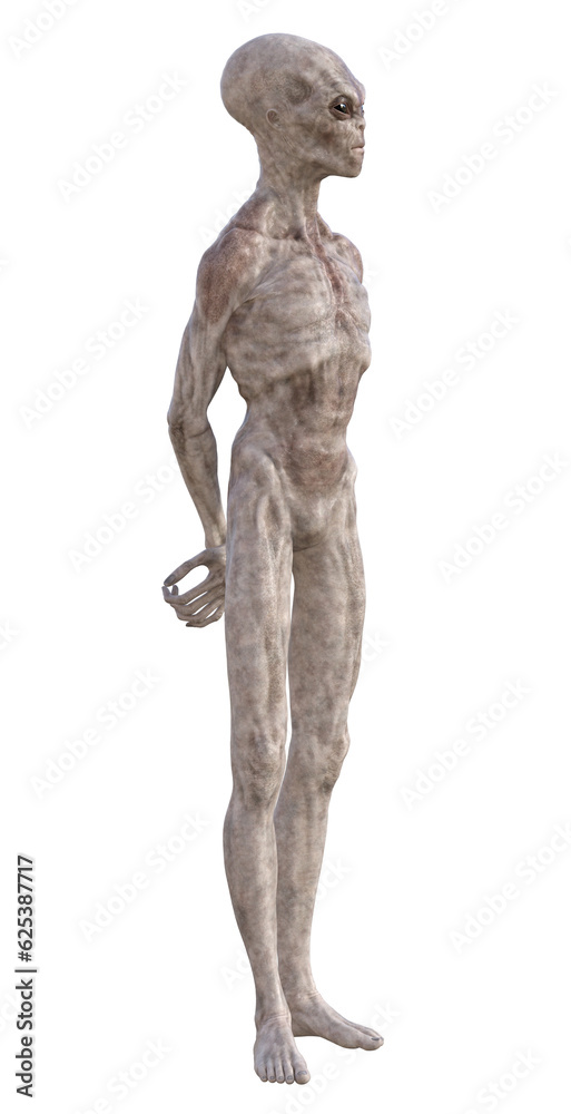 Grey alien on transparent background, 3d render