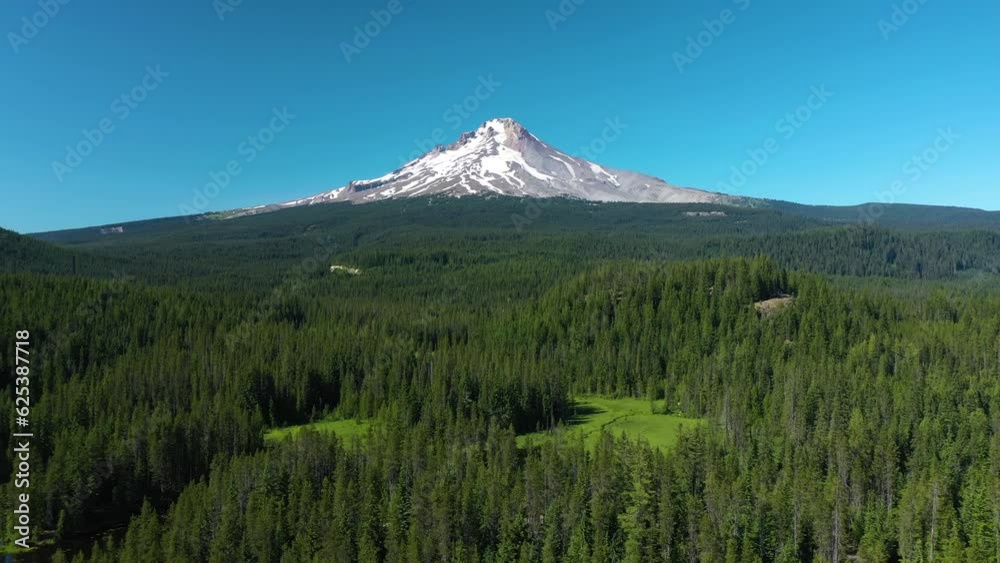 Drone shot over trees, approaching the snowy mt Hood, summer in sunny Oregon, USA Drone shot over trees, approaching the snowy mt Hood, summer in sunny Oregon, USA