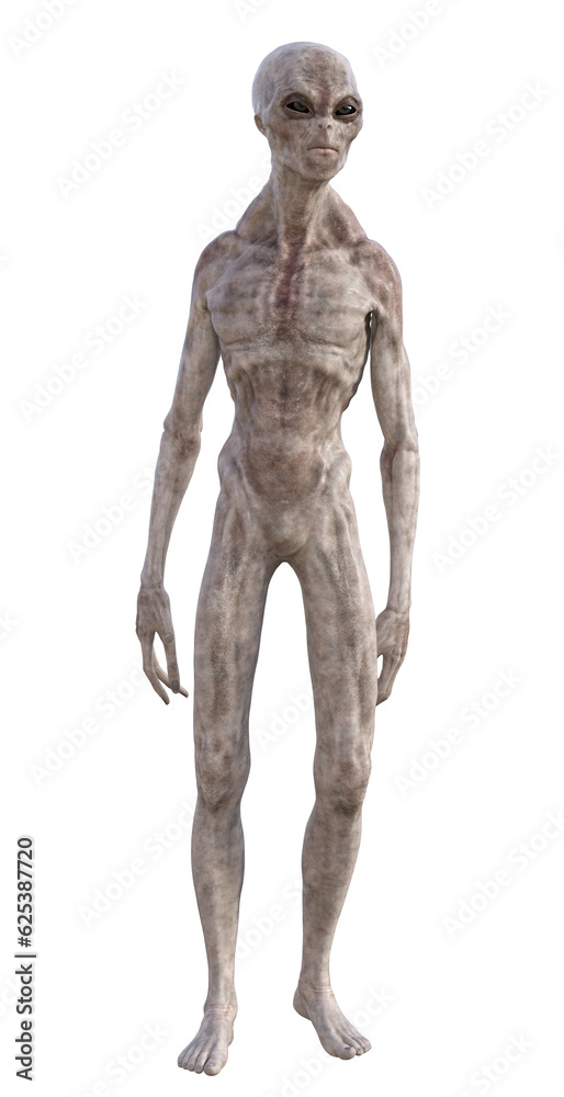 Grey alien on transparent background, 3d render Grey alien on transparent background, 3d render