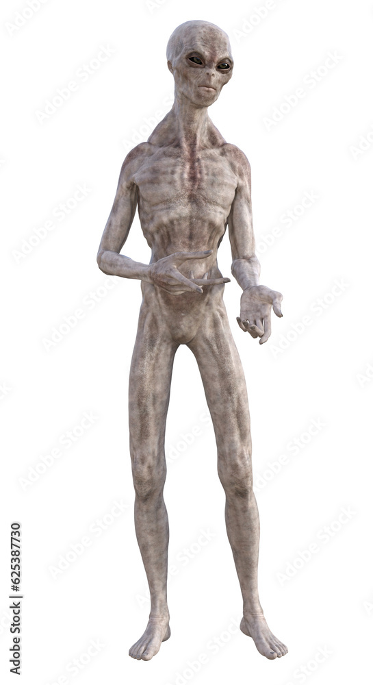 Grey alien on transparent background, 3d render Grey alien on transparent background, 3d render