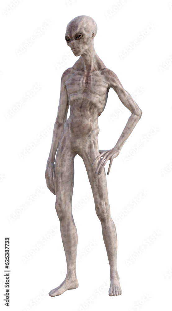 Grey alien on transparent background, 3d render Grey alien on transparent background, 3d render
