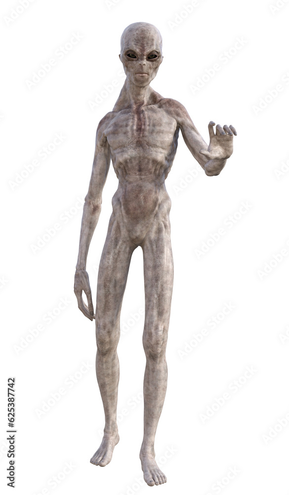 Grey alien on transparent background, 3d render Grey alien on transparent background, 3d render