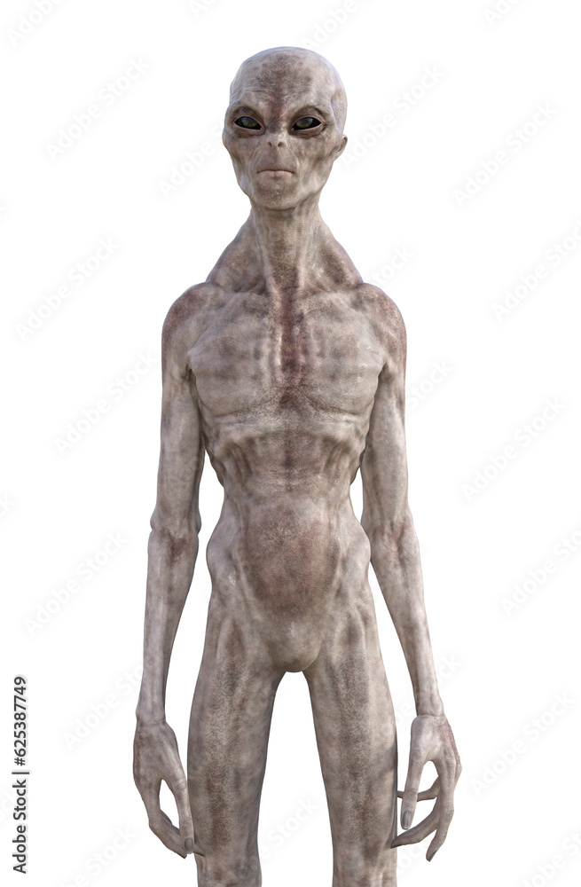 Grey alien on transparent background, 3d render Grey alien on transparent background, 3d render