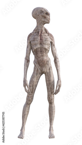 Grey alien on transparent background, 3d render