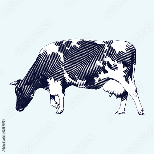 Cow or Beef Cattle vintage engraving illustration. Vector hen what standing side view. Farm animal sketch illustration. Hand drawn engraving style vector illustration.