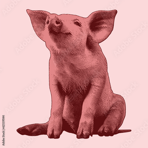 Pig vintage engraving illustration. Vector hen what standing side view. Farm animal sketch illustration. Hand drawn engraving style vector illustration.