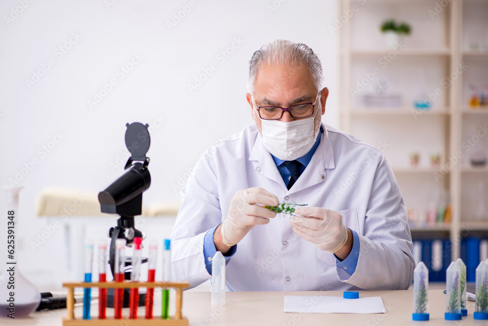 Old male chemist in drugs synthesis concept Old male chemist in drugs synthesis concept