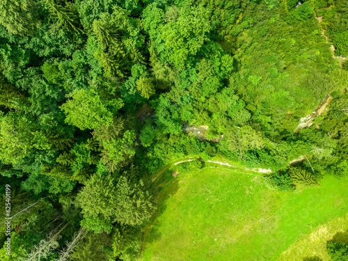 Aerial view of rural landscape with meadows and trees in Switzerland.