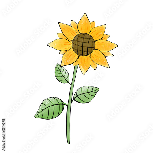 sunflower