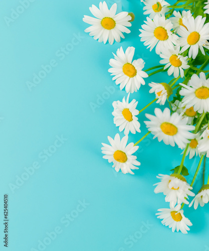 Fresh  white daisies on light pastel blue background. Beautiful flower pattern. Closeup.