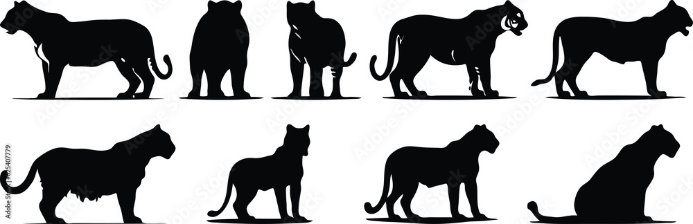 tiger silhouette set illustration