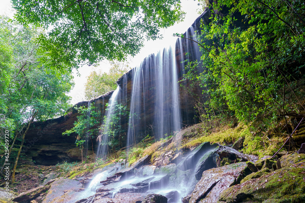 custom made wallpaper toronto digitalWaterfall at Phu Kradueng national park, Loei Thailand, beautiful landscape of waterfalls in rainforest