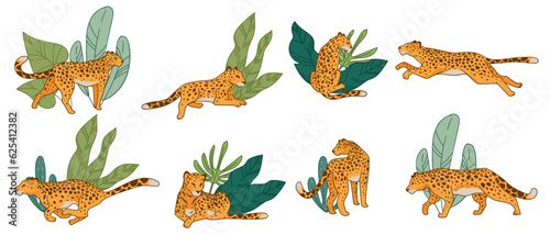 Leopard or cheetah running and hunting animal