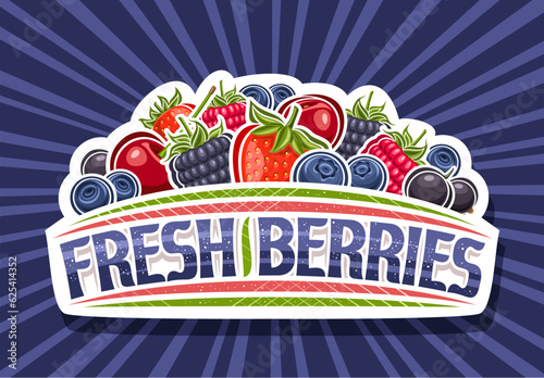 Vector logo for Fresh Berries, white decorative sign board with illustration of many assorted red wild forest berry and unique brush lettering for text fresh berries on blue rays of light background