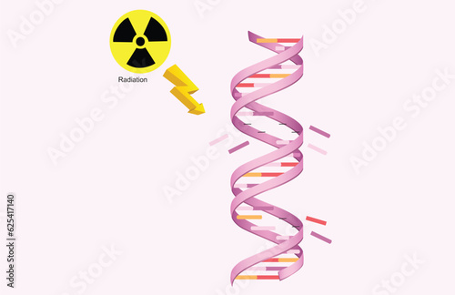 nucleic acid protein synthesis DNA sequencing living structure