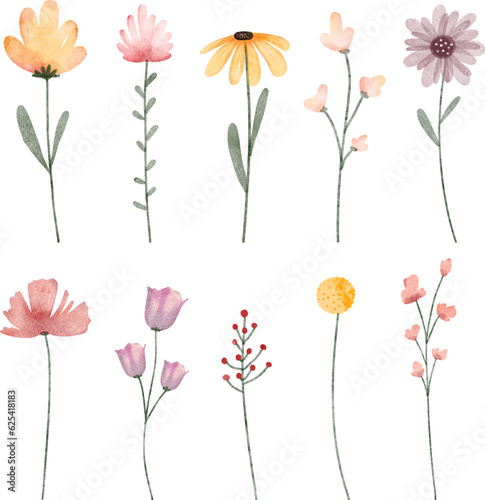 Watercolor illustration set of flowers