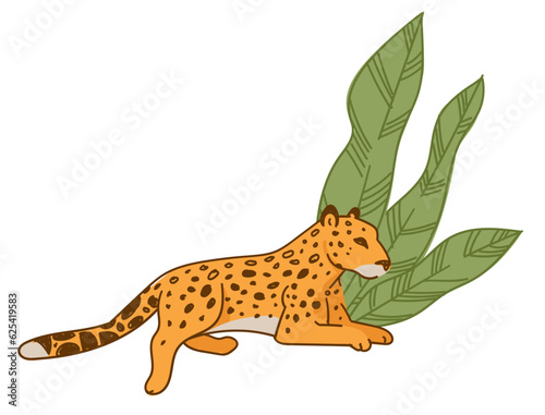 Fototapeta Naklejka Na Ścianę i Meble -  Leopard or cheetah resting under wide leaves flora