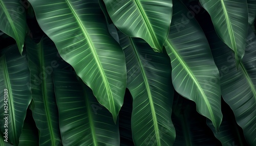 Abstract green tropical leaf   s texture  nature dark tone background  tropical leaf