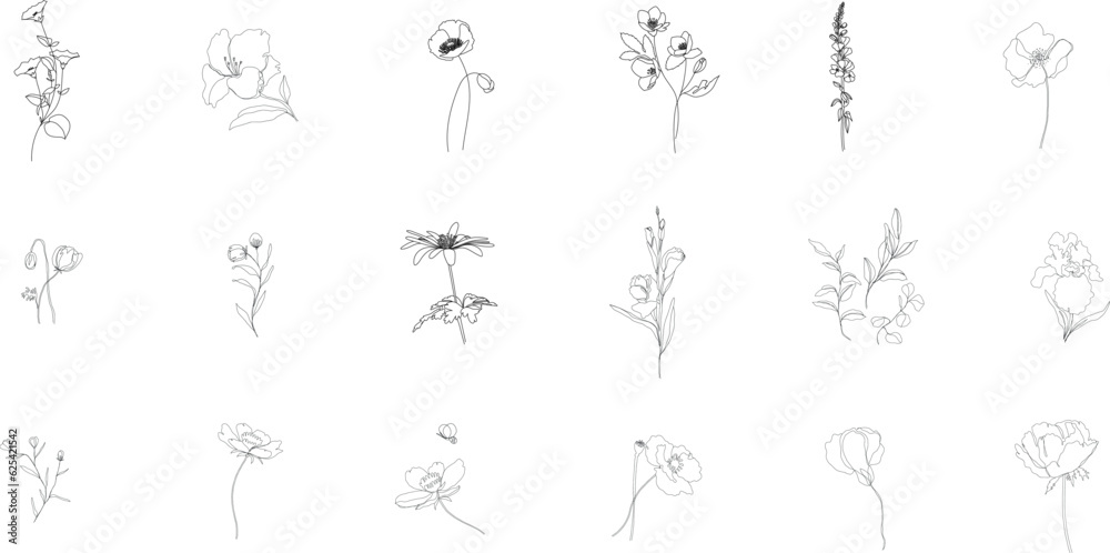 minimal line flower and botanical graphic sketch drawing, trendy tiny tattoo design, floral elements vector illustration minimal line flower and botanical graphic sketch drawing, trendy tiny tattoo design, floral elements vector illustration