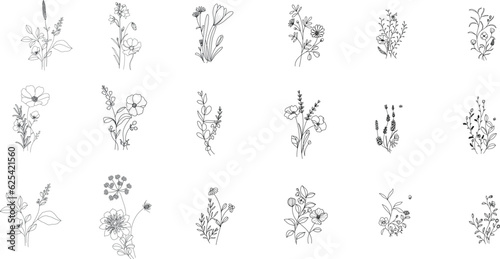 minimal line flower and botanical graphic sketch drawing, trendy tiny tattoo design, floral elements vector illustration