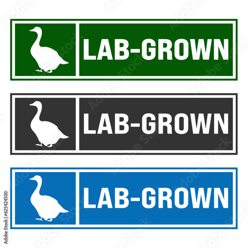 Lab - grown. Cruelity free, safe, healthy. Environmentally friendly.Beef made from plants. Meat-free  Cultured meat badge logo, icon. Can be used business company for eco, organic.