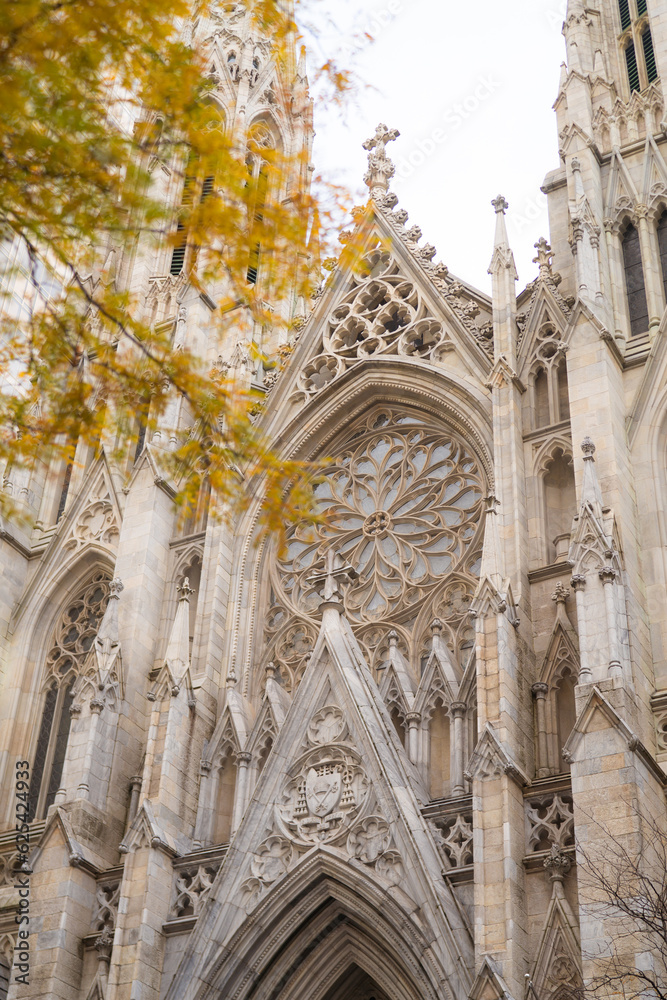 St. Patrick's Cathedral in NYC with yellow leaves