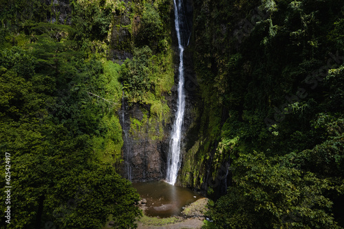 Waterfall in Tahiti French Polynesia © Cavan
