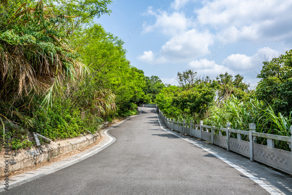 Yangtai Mountain Forest Park hiking trail