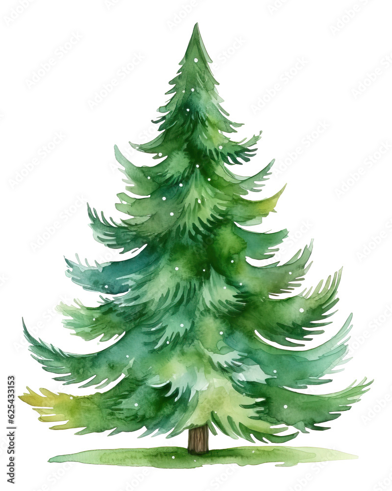 Watercolor Christmas tree traditional isolated. Watercolor Christmas tree traditional isolated.